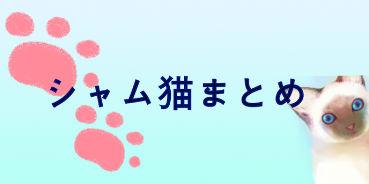 タイの高貴な猫シャム!
